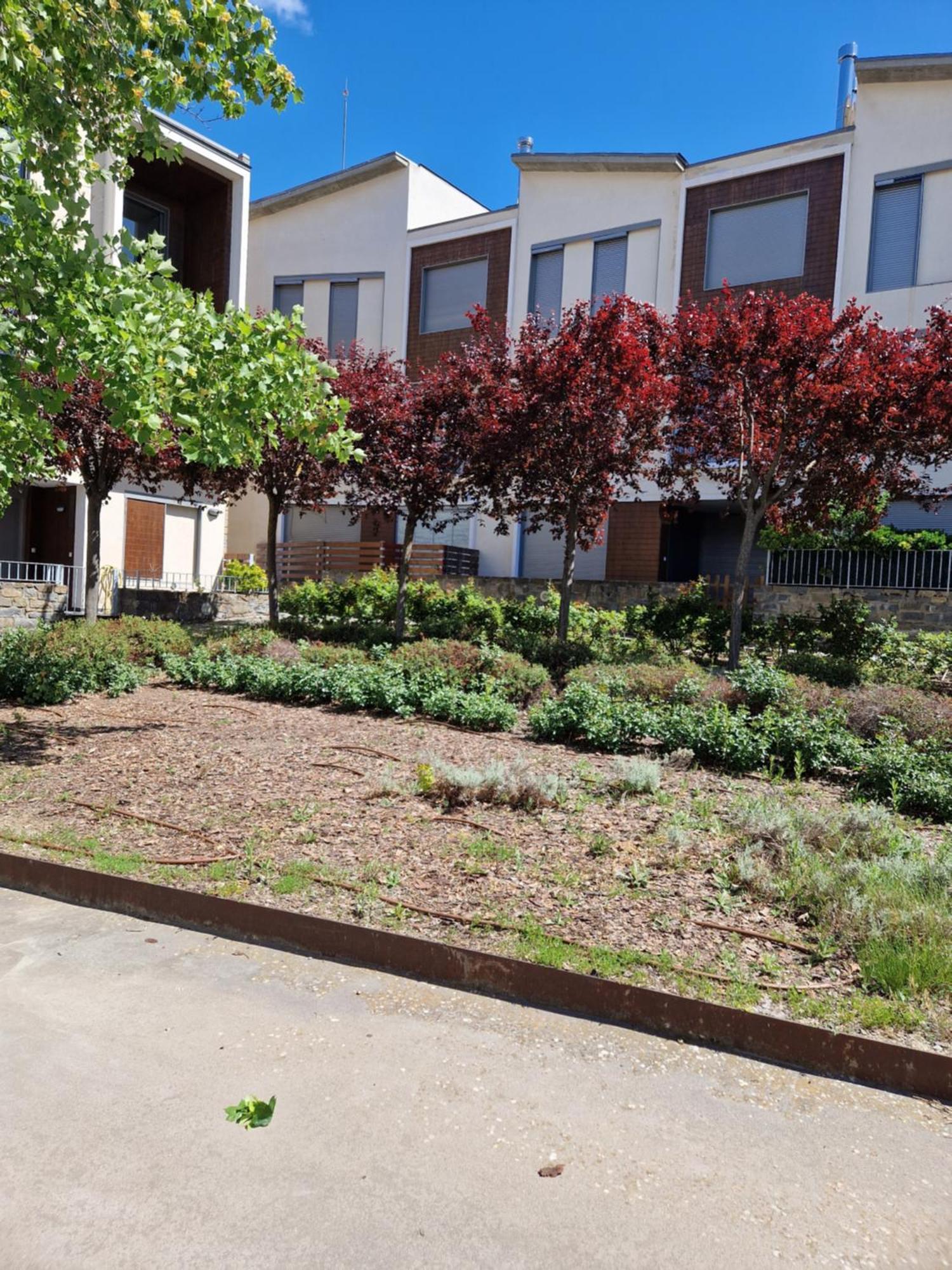 Apartament Duplex Gaby Sabiñánigo Zewnętrze zdjęcie